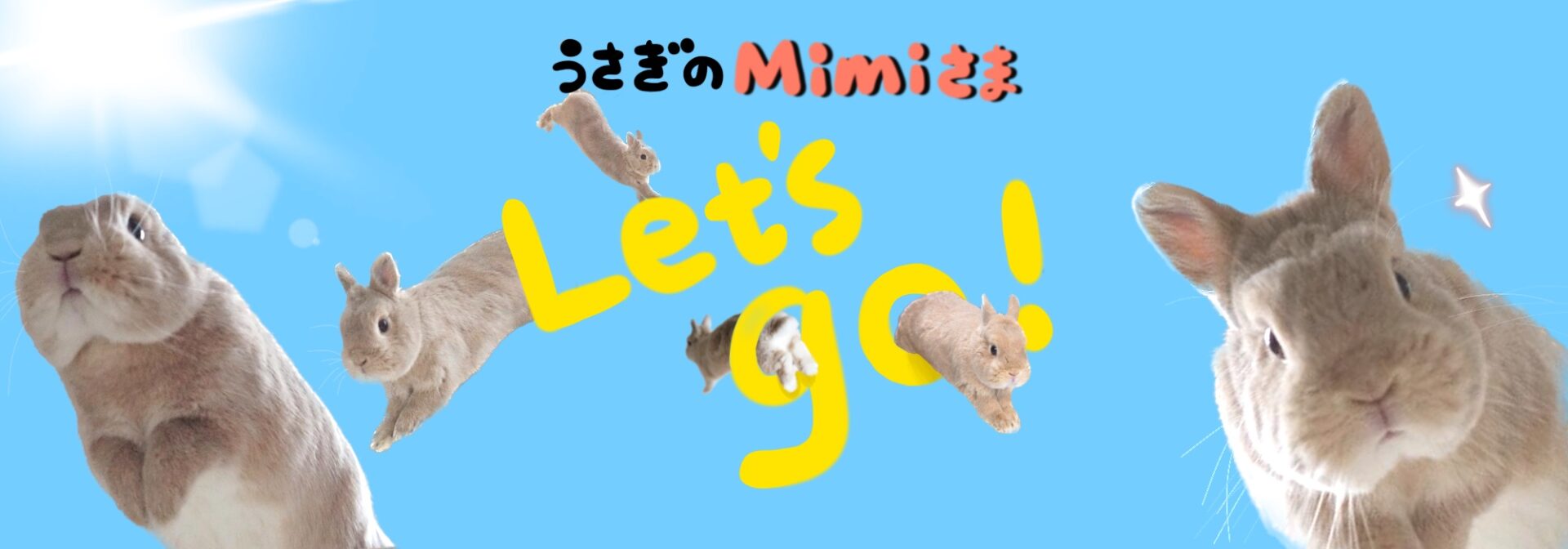うさぎのMimiさま　Let's go！